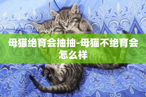 母貓絕育會抽抽-母貓不絕育會怎么樣