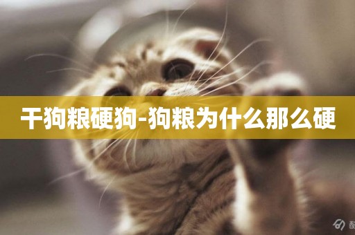干狗糧硬狗-狗糧為什么那么硬