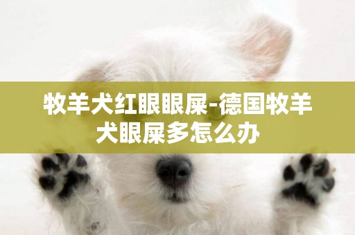 牧羊犬紅眼眼屎-德國牧羊犬眼屎多怎么辦
