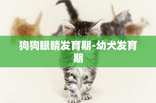 狗狗眼睛發育期-幼犬發育期