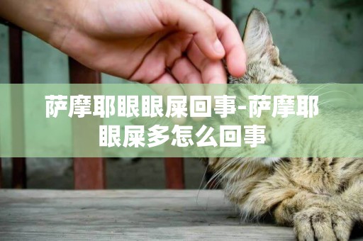 薩摩耶眼眼屎回事-薩摩耶眼屎多怎么回事