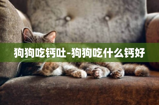 狗狗吃鈣吐-狗狗吃什么鈣好