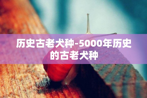 歷史古老犬種-5000年歷史的古老犬種