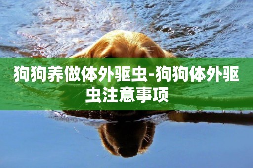 狗狗養做體外驅蟲-狗狗體外驅蟲注意事項
