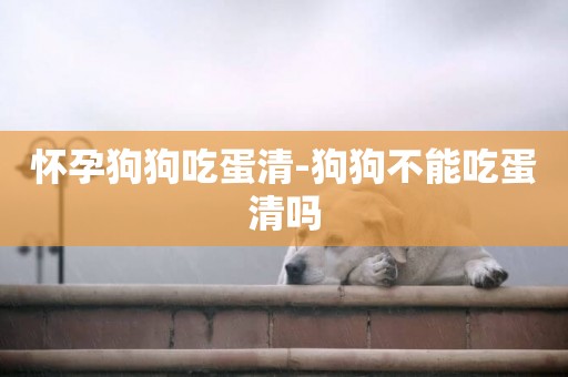 懷孕狗狗吃蛋清-狗狗不能吃蛋清嗎