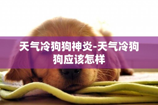 天氣冷狗狗神炎-天氣冷狗狗應該怎樣