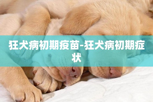 狂犬病初期疫苗-狂犬病初期癥狀