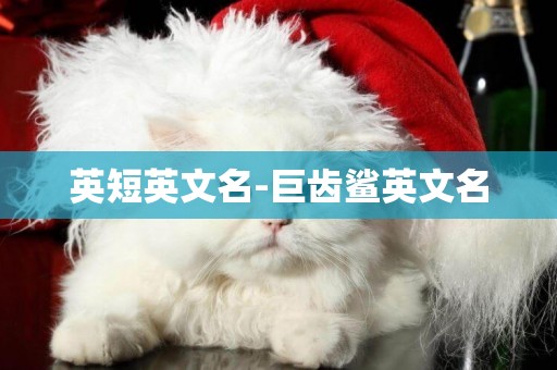 英短英文名-巨齒鯊英文名