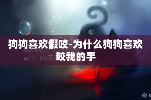 狗狗喜歡假咬-為什么狗狗喜歡咬我的手