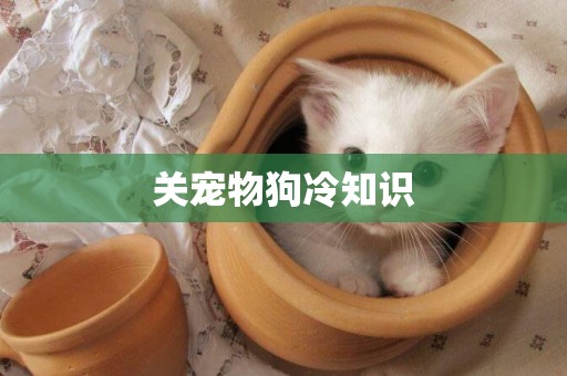 關寵物狗冷知識