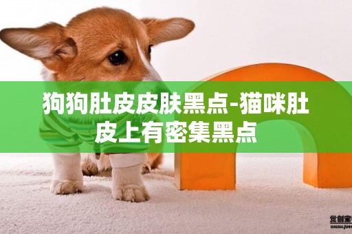 狗狗肚皮皮膚黑點-貓咪肚皮上有密集黑點
