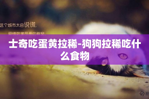 士奇吃蛋黃拉稀-狗狗拉稀吃什么食物