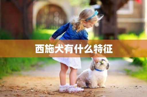 西施犬有什么特征