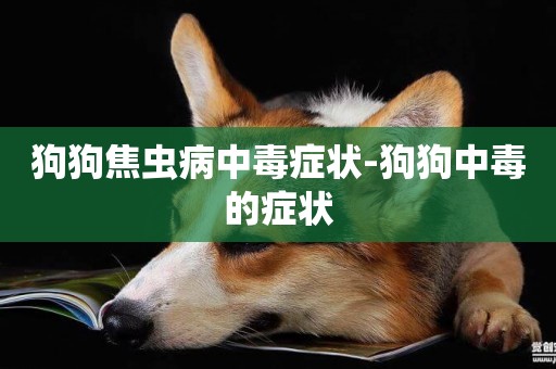 狗狗焦蟲病中毒癥狀-狗狗中毒的癥狀