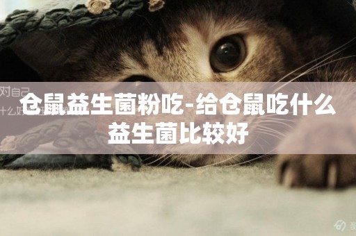 倉鼠益生菌粉吃-給倉鼠吃什么益生菌比較好