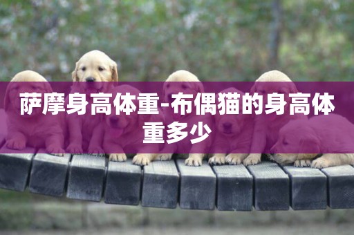 薩摩身高體重-布偶貓的身高體重多少