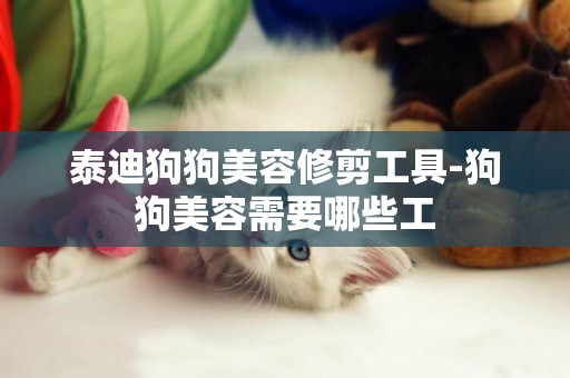 泰迪狗狗美容修剪工具-狗狗美容需要哪些工