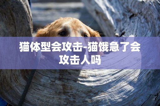 貓體型會攻擊-貓餓急了會攻擊人嗎