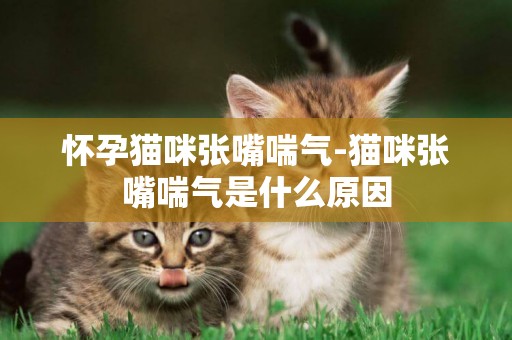 懷孕貓咪張嘴喘氣-貓咪張嘴喘氣是什么原因