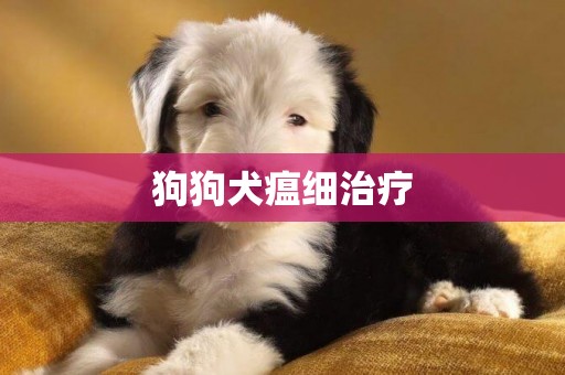 狗狗犬瘟細治療