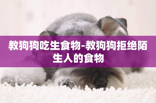 教狗狗吃生食物-教狗狗拒絕陌生人的食物
