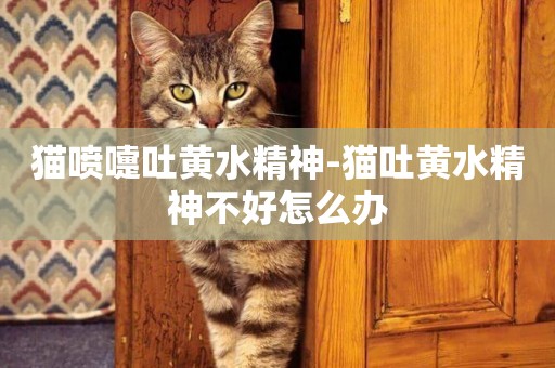 貓噴嚏吐黃水精神-貓吐黃水精神不好怎么辦