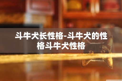 斗牛犬長性格-斗牛犬的性格斗牛犬性格