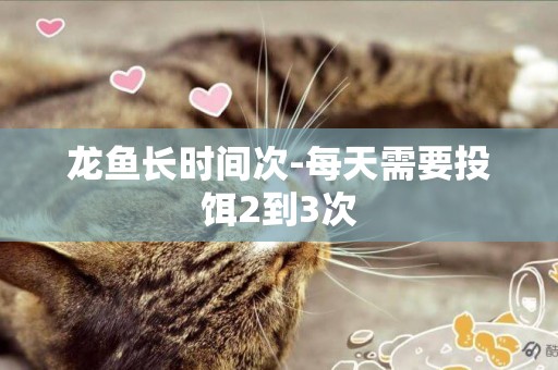 龍魚長時間次-每天需要投餌2到3次