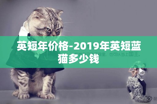 英短年價格-2019年英短藍貓多少錢
