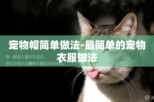 寵物帽簡單做法-最簡單的寵物衣服做法