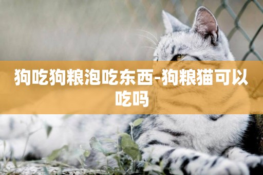 狗吃狗糧泡吃東西-狗糧貓可以吃嗎