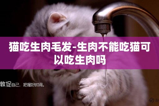 貓吃生肉毛發-生肉不能吃貓可以吃生肉嗎