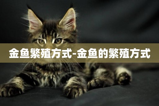 金魚繁殖方式-金魚的繁殖方式
