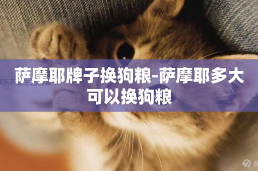 薩摩耶牌子換狗糧-薩摩耶多大可以換狗糧