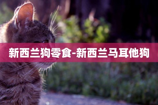 新西蘭狗零食-新西蘭馬耳他狗