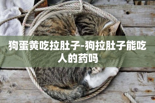 狗蛋黃吃拉肚子-狗拉肚子能吃人的藥嗎