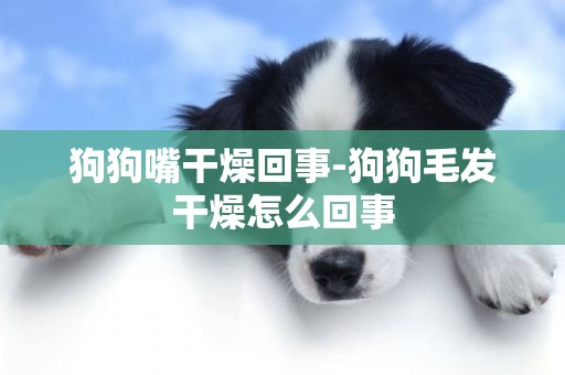 狗狗嘴干燥回事-狗狗毛發干燥怎么回事