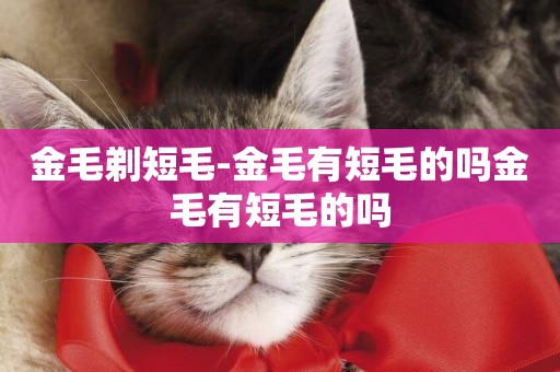 金毛剃短毛-金毛有短毛的嗎金毛有短毛的嗎