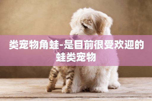 類寵物角蛙-是目前很受歡迎的蛙類寵物