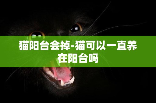 貓陽臺會掉-貓可以一直養在陽臺嗎