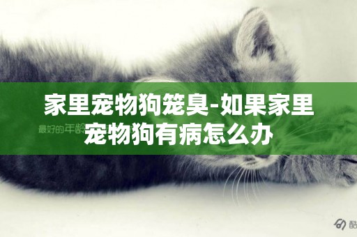 家里寵物狗籠臭-如果家里寵物狗有病怎么辦