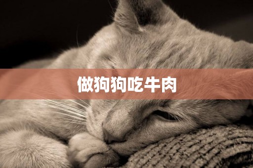 做狗狗吃牛肉