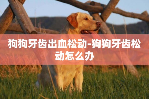 狗狗牙齒出血松動-狗狗牙齒松動怎么辦