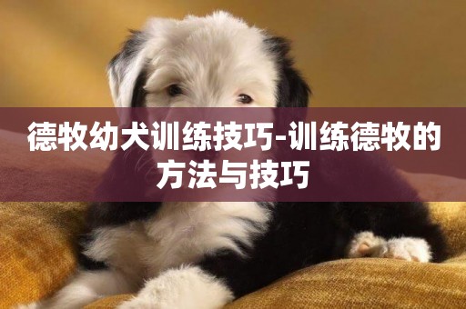 德牧幼犬訓練技巧-訓練德牧的方法與技巧
