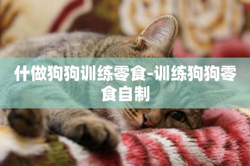 什做狗狗訓練零食-訓練狗狗零食自制