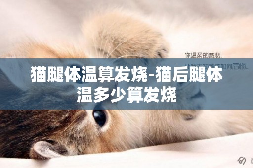 貓腿體溫算發燒-貓后腿體溫多少算發燒