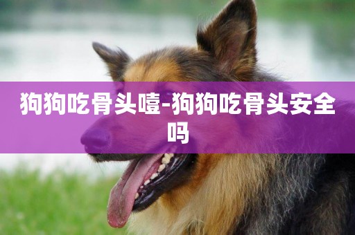 狗狗吃骨頭噎-狗狗吃骨頭安全嗎