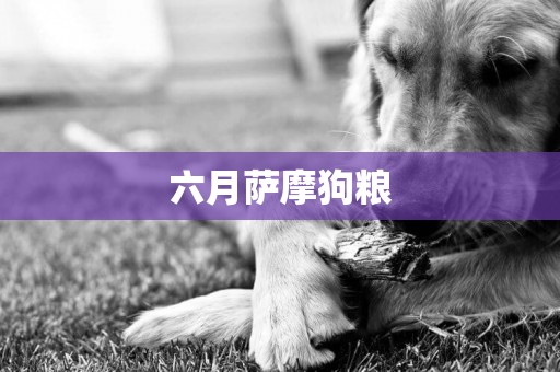 六月薩摩狗糧
