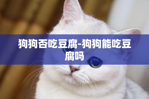狗狗否吃豆腐-狗狗能吃豆腐嗎
