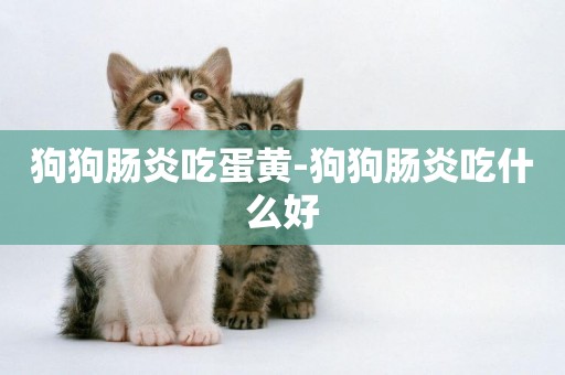 狗狗腸炎吃蛋黃-狗狗腸炎吃什么好